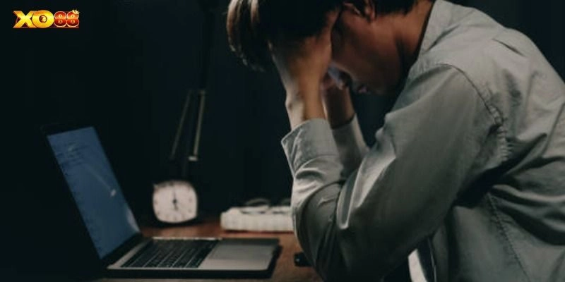 Hành trình gian nan và thử thách của David Vũ