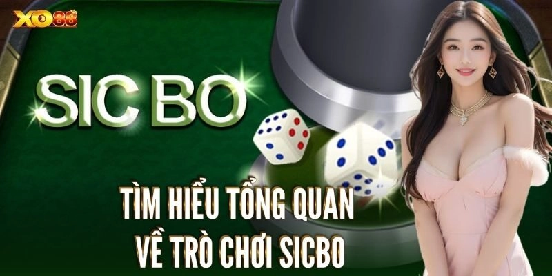 Bí quyết tối ưu hóa chiến thắng cho người chơi chuyên nghiệp