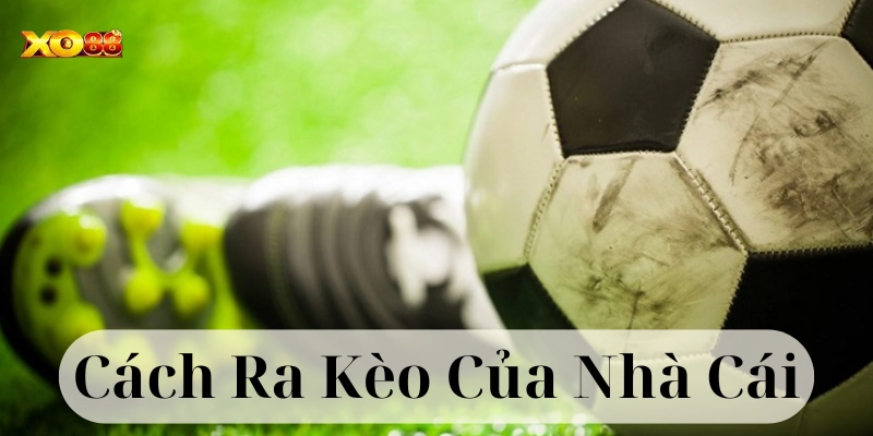 Bí kíp từ cao thủ