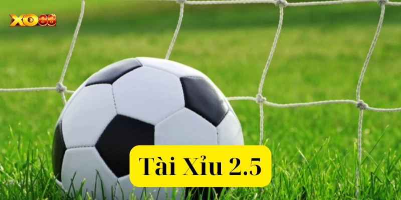 Cách tính tiền của Tài Xỉu 2.5