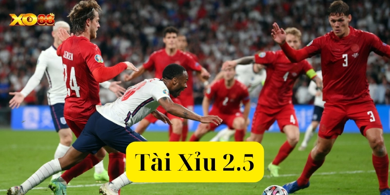 Kèo Tài Xỉu 2.5: Cách đọc, phân tích và mẹo chiến thắng