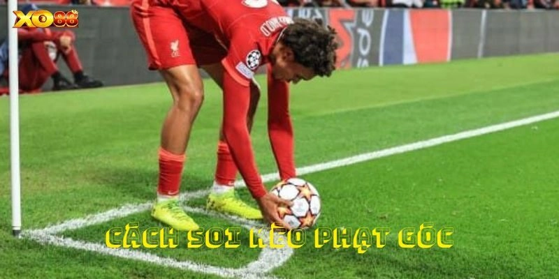 Đa dạng các loại kèo phạt góc phù hợp mọi yêu cầu