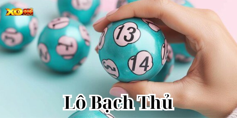 Kinh Nghiệm Đánh Lô Bạch Thủ Bất Bại – Dành Cho Người Mới