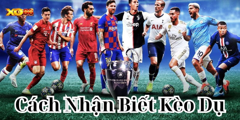 Cách Nhận Biết Kèo Dụ