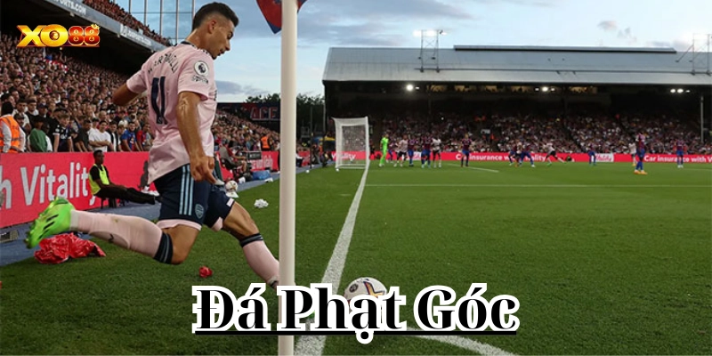 Chơi kèo như thế nào?