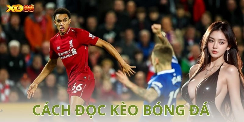 Các loại kèo phổ biến trong cá cược bóng đá