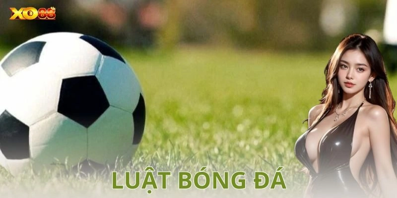 Cấu trúc cơ bản của trận đấu