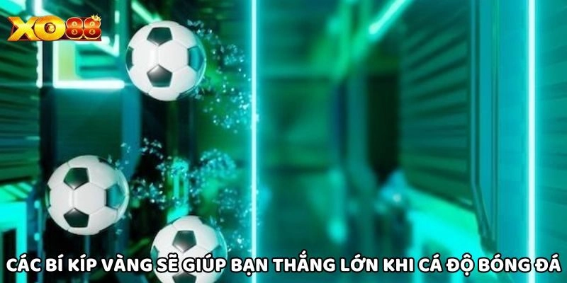 Kèo Châu Á – Hướng Dẫn Cách Đọc Và Nhận Định Từ Xo88