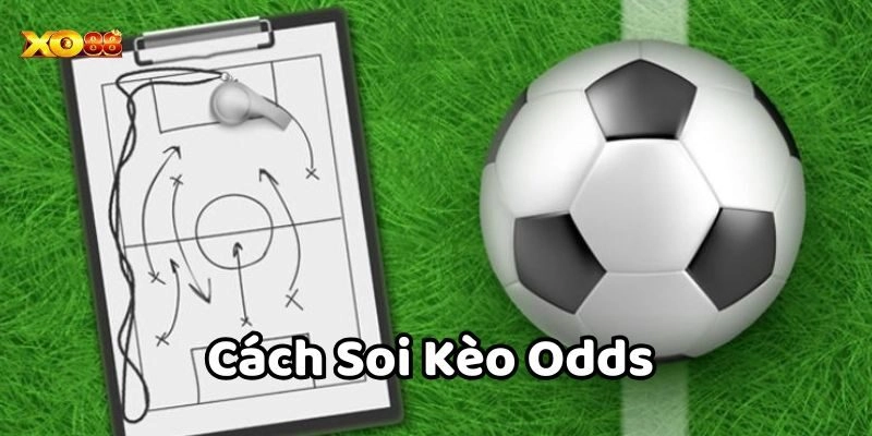 Cách Soi Kèo Odds hiệu quả năm 2025