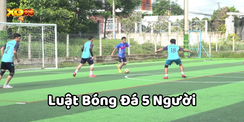 Luật bóng đá 5 người có dễ hiểu không?